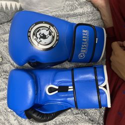 Outslayer Boxing Gloves 16OZ