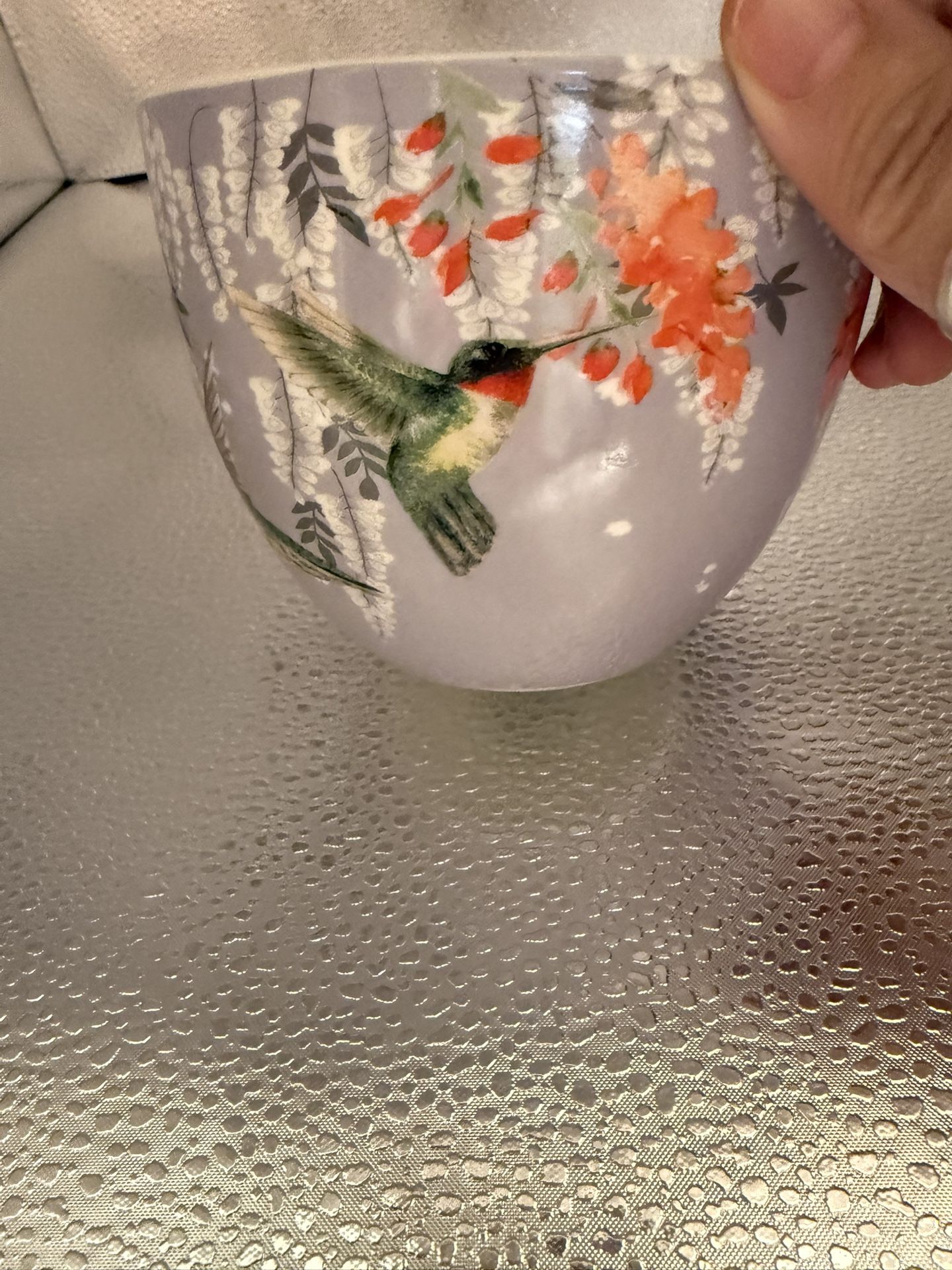 Hummingbird Mug 