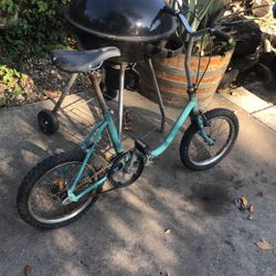 Foldable Bike