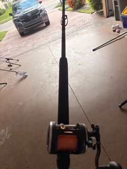 Penn rival 20lw with Penn rod