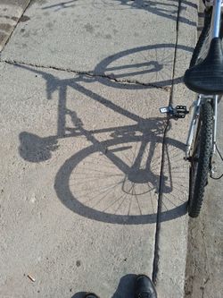 Harleys Davidson For Sale Bigboy No Miles 