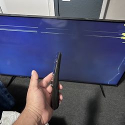 65inch Samsung Tv (screen Broken )