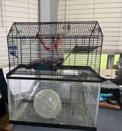 Hamster/gerbil/rat/mouse cage