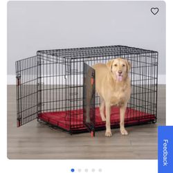 Kong Dog Cage
