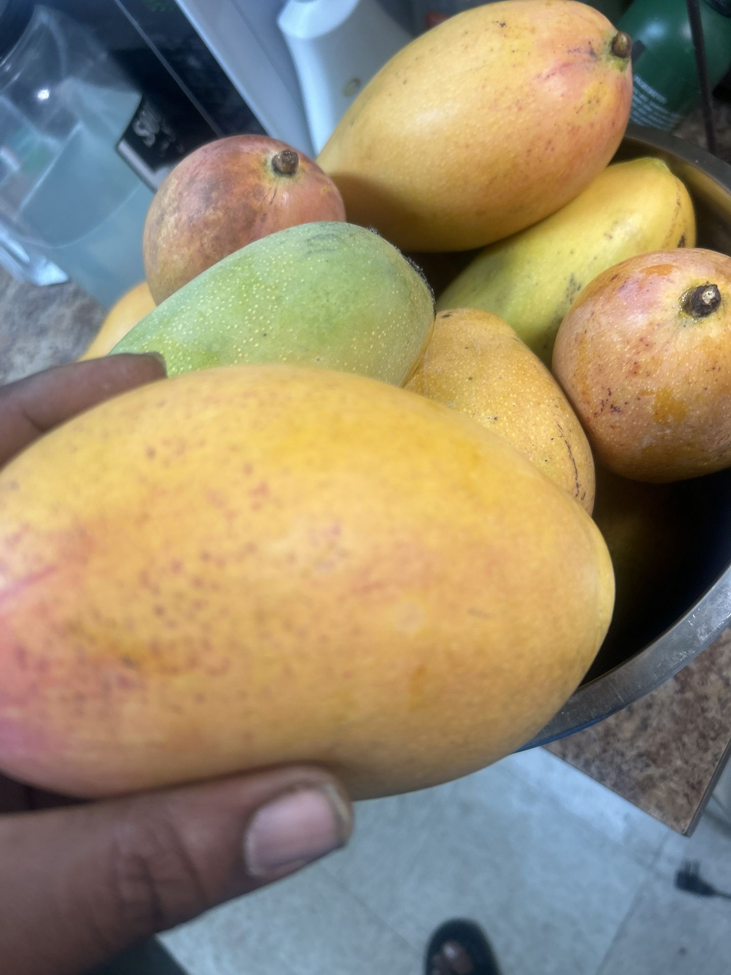 Miami Sweet Mangoes