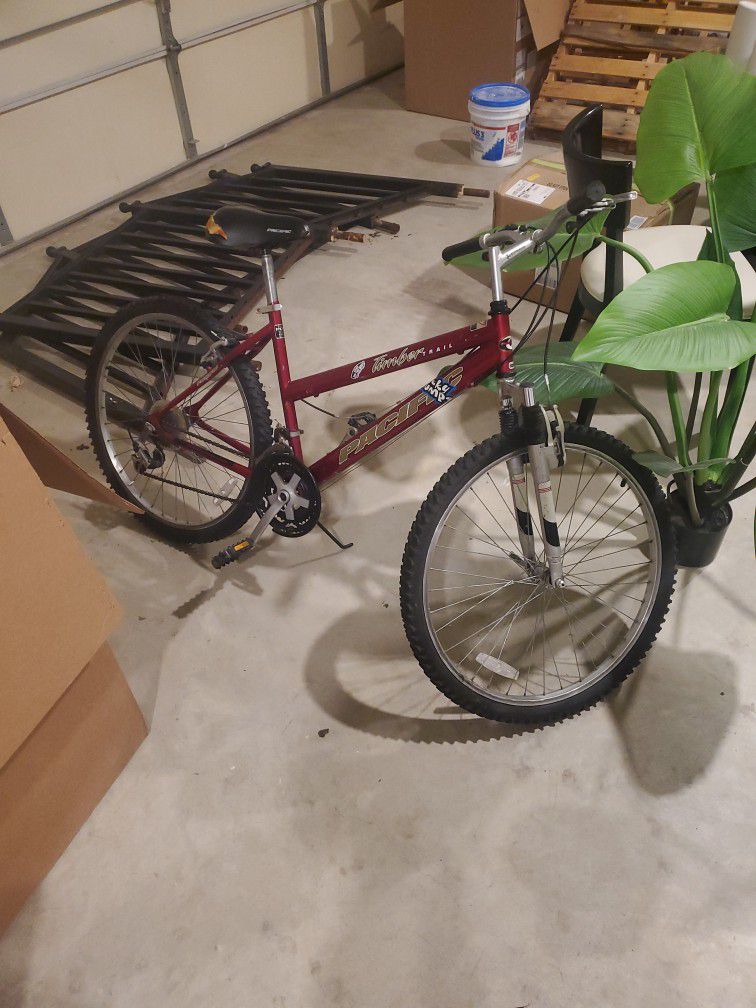 Bike (Needs TLC)