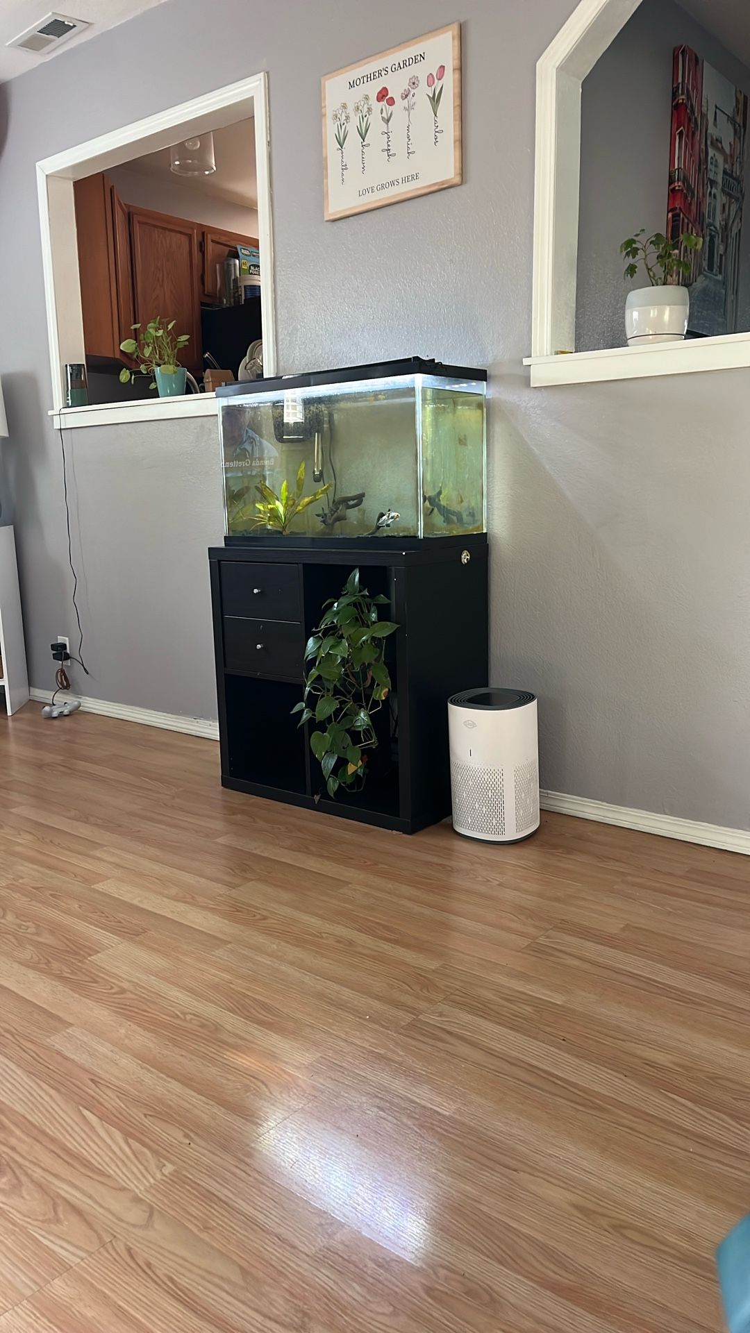 Fish Tank