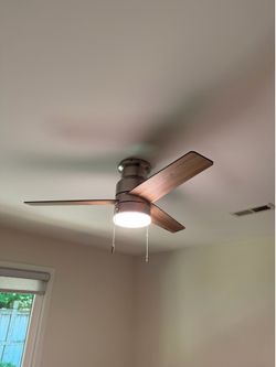 Fan idk what what kind nice doe