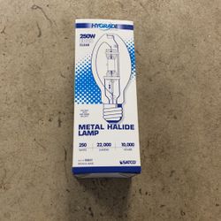 Metal Halide Lamp