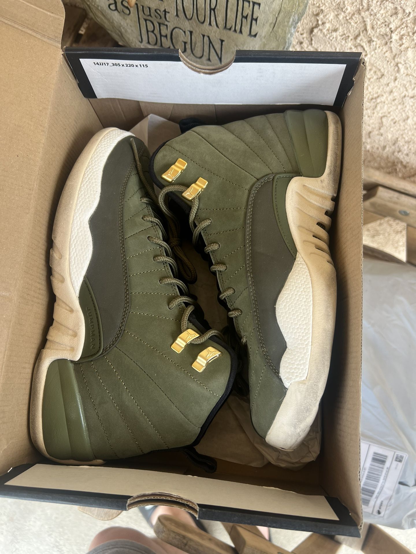 Jordan 12 CP3