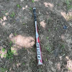 Bat