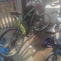 Eddie Bauer Vintage Bike