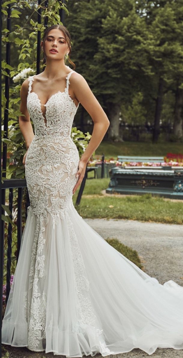 e: Brand New Wedding Dress – Size 12 with Veil – Never Worn