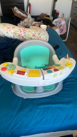 Baby Einstein Baby Chair