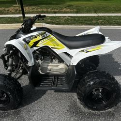 2018 Yamaha Raptor 90