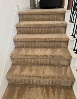 Clean Carpet