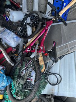 Girl Mountain Bike Mongoose 