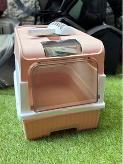 cute cat covered litter box