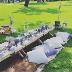 Picnic Items 