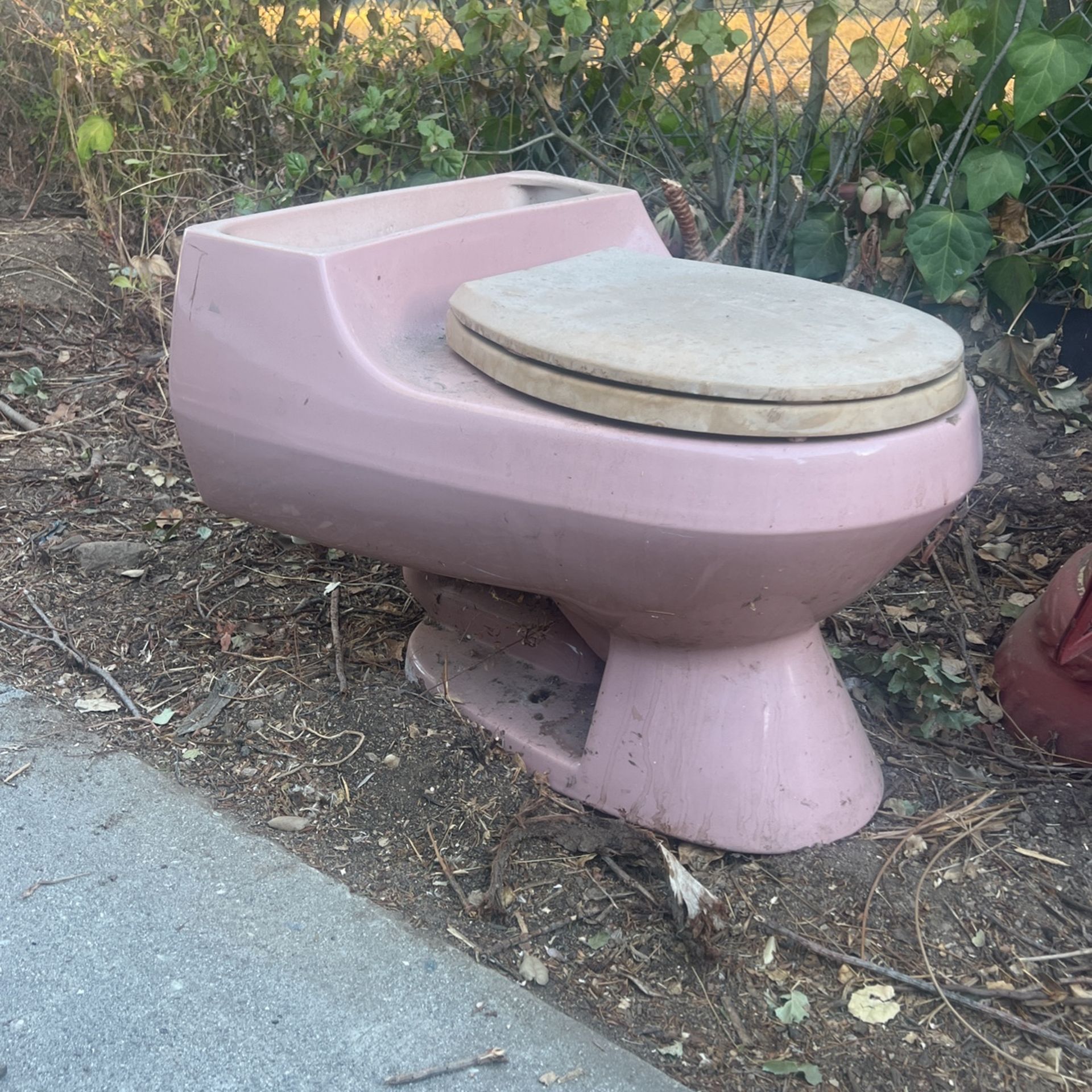 Vintage Kohler Lowboy Wild Rose Toilet