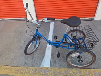 Worksman Port-o-Trike 3-Speed Adult Folding Tricycle (20" Wheels)