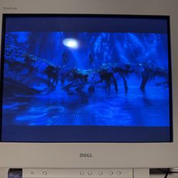 Dell Trinitron 19” CRT PC Monitor P991 — Rare! Near Mint!