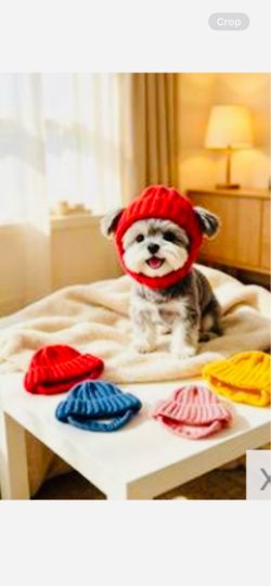 Hat for dogs! 6.00$