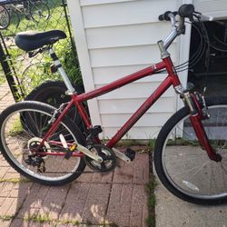 Diamondback Wildwood Citi 17.5 Inch Bike