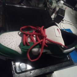 Nike Heineken Dunks Super Rare Shoes 
