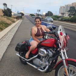 2005 Harley davidson Sportster