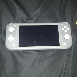 nintendo switch light