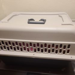 Dog Cage
