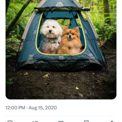 Arcadia Trail Dog Shade Tent 