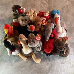 Beanie Baby Collection 