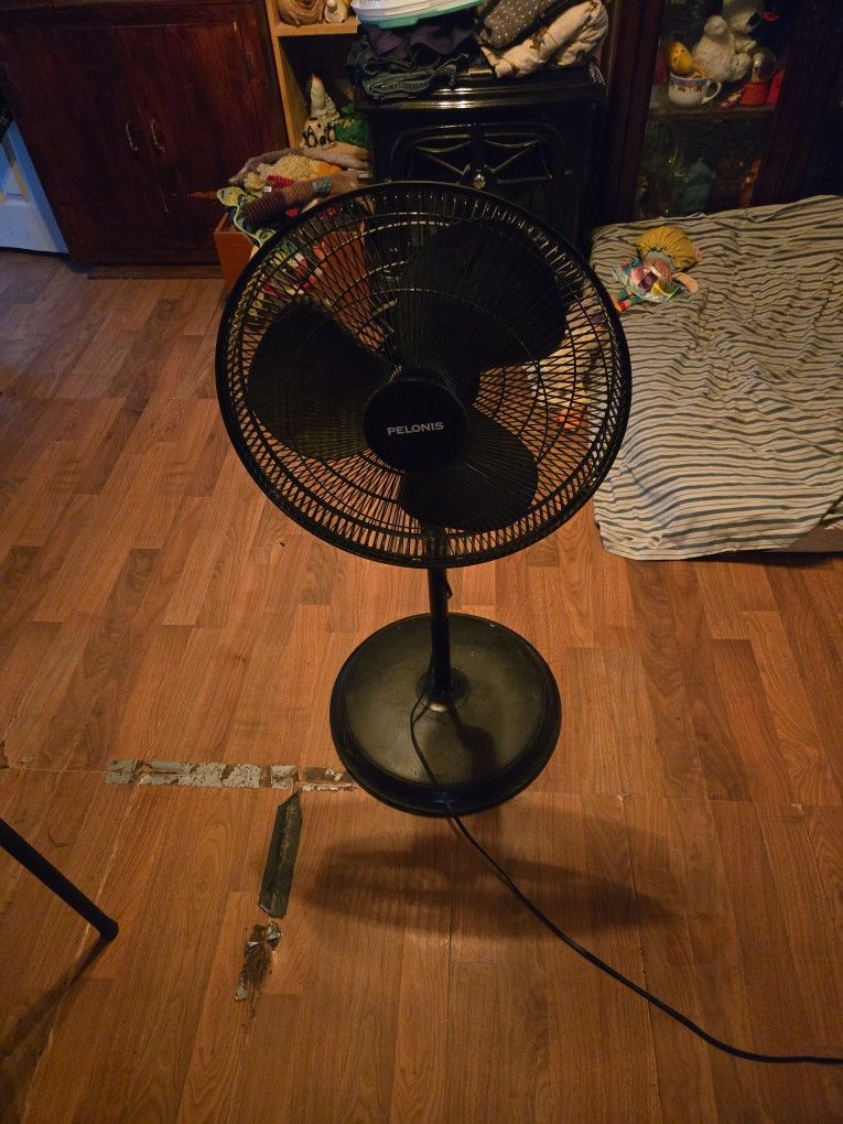 3 Speed Floor Fan Black