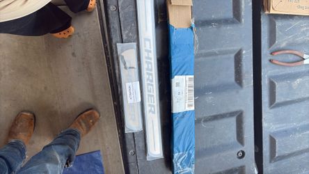 2014 charger door seal protector