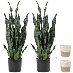 2 Set fake Snake Plants Black Coral 
