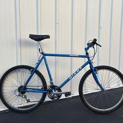 Vintage Giant MTB Hybrid Road Bike