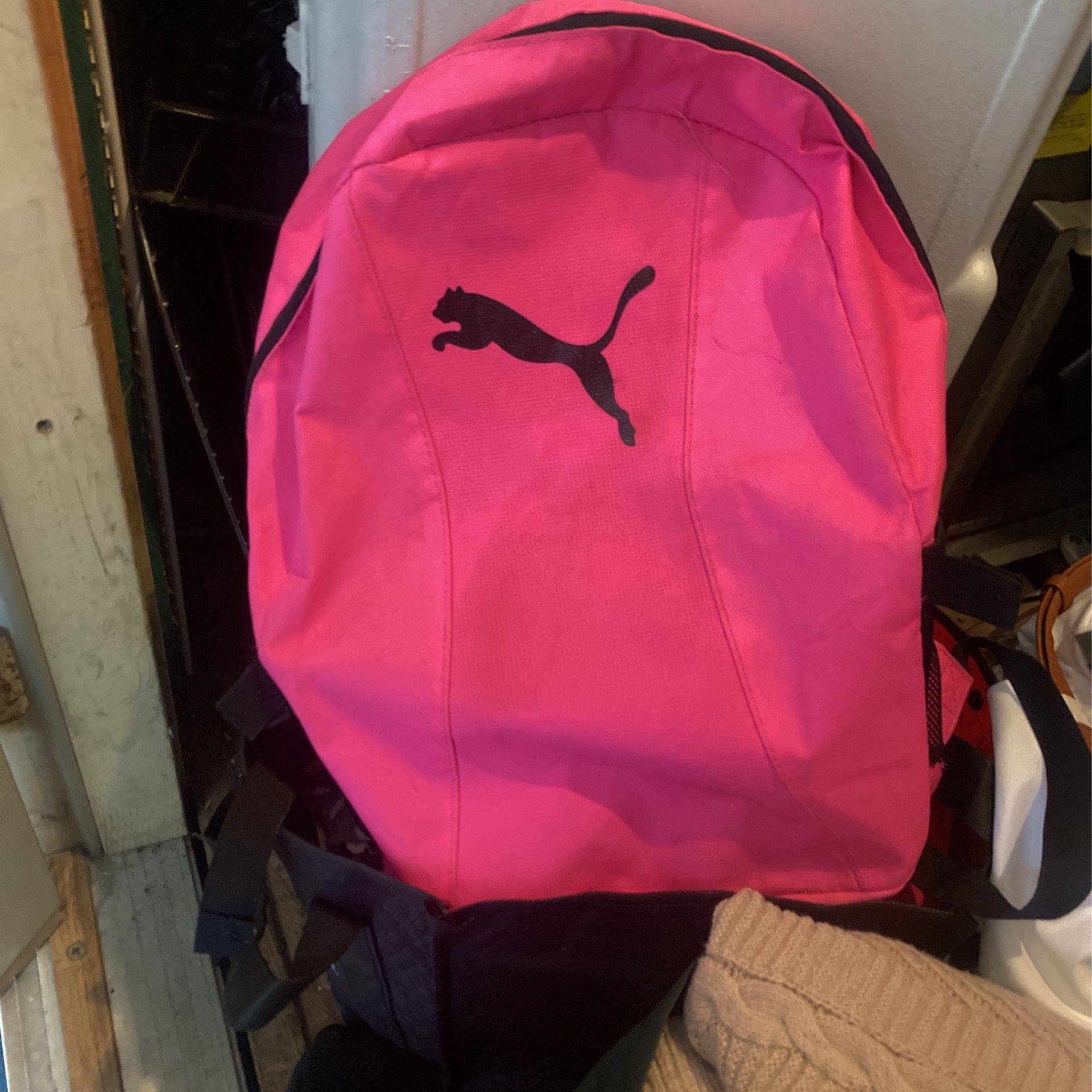 Puma