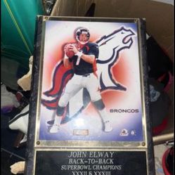 Broncos Collectible 