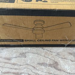 42 Inch Fan