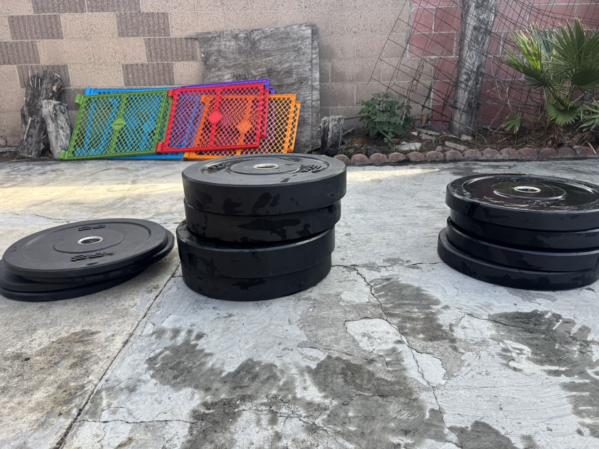 Used Bumper Weights 10lb -25lb-45lb 