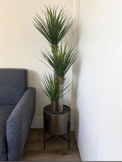 New with Tag Indoor 57inch Yucca Artificial Plant