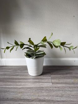 Artificial plant with ceramic pot.