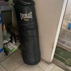 Bolsa De Boxeo  , Boxing Bah