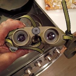 Military Like Binoculars 