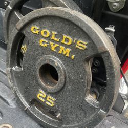 PAIR  OF  GOLDS  GYM 25 L B.  EZ  GRIP  PLATES 