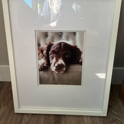 Three Picture Frames