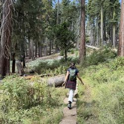 Trek Alpha 4300 Bicycle 