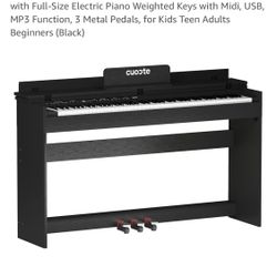 Electric Piano w/piano Bench